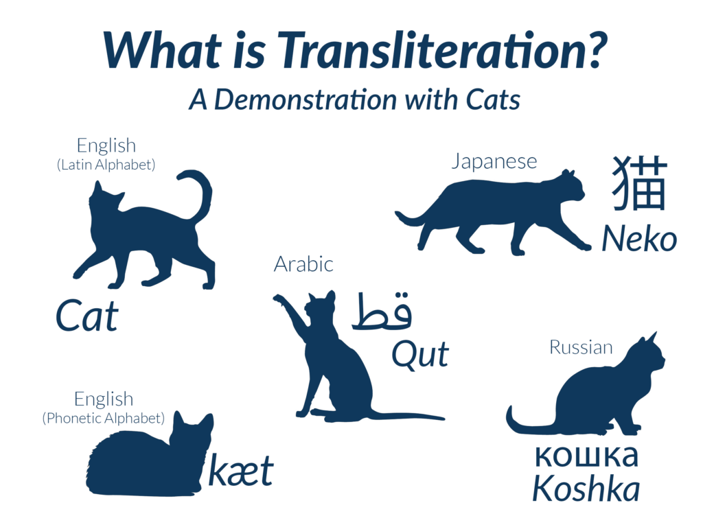 transliteration kitties infographic